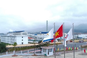 Vimico (KSV) trình kế hoạch lãi 2.042 tỷ đồng, chốt quyền chia cổ tức tiền mặt kỷ lục 119%