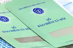 Người lao động góp vốn ở công ty khác có được hưởng trợ cấp thất nghiệp?