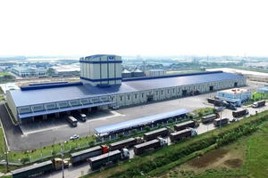 Phát triển Nông nghiệp Hòa Phát (HPA) đặt mục tiêu lợi nhuận 1.005 tỷ đồng, duy trì cổ tức 30%