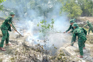Quảng Trị siết chặt phòng cháy, chữa cháy rừng trước cao điểm nắng nóng