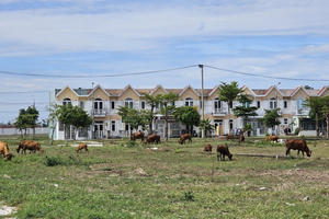 Đà Nẵng điều chỉnh tiến độ dự án nhà ở Khu đô thị Viêm Minh - Hà Dừa