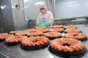 Thực phẩm Sao Ta (FMC): Đặt mục tiêu lợi nhuận 2026 tăng trưởng 10%, ưu tiên tăng trưởng theo chiều sâu thay vì mở rộng quy mô