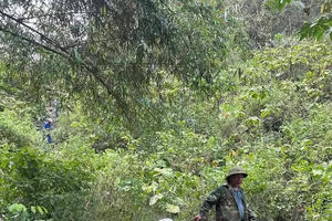Tìm thấy thi thể người đàn ông tại Nghệ An sau 4 ngày mất liên lạc Tìm thấy thi thể người đàn ông tại Nghệ An sau 4 ngày mất liên lạc