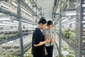Xây bệ phóng công nghệ nông nghiệp để TP Hồ Chí Minh thành siêu đô thị xanh bền vững Xây bệ phóng công nghệ nông nghiệp để TP Hồ Chí Minh thành siêu đô thị xanh bền vững