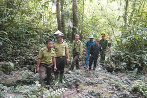 Tuyên Quang tăng cường phòng cháy, chữa cháy rừng trước tình hình diễn biến phức tạp Tuyên Quang tăng cường phòng cháy, chữa cháy rừng trước tình hình diễn biến phức tạp