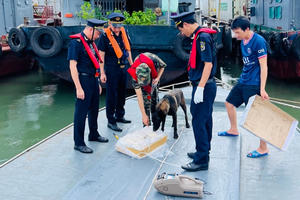 Hải quan khu vực VIII tăng mạnh xử lý buôn lậu qua biên giới Hải quan khu vực VIII tăng mạnh xử lý buôn lậu qua biên giới