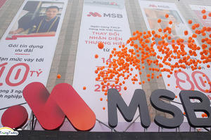 Nhiều lần giao dịch bất thành, cổ đông Nhà nước tiếp tục đăng ký thoái sạch vốn tại MSB
