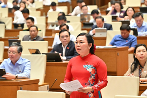 Đại biểu Quốc hội tỉnh An Giang góp ý kiến dự án Luật Trợ giúp pháp lý (sửa đổi) Đại biểu Quốc hội tỉnh An Giang góp ý kiến dự án Luật Trợ giúp pháp lý (sửa đổi)