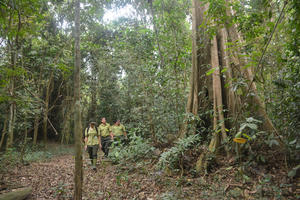 Kiểm lâm Đồng Nai chủ động ứng phó cháy rừng: Không để bị động trong mùa khô