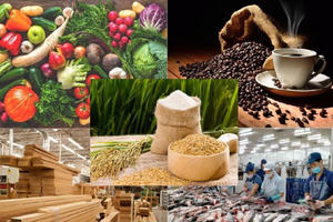 Đẩy mạnh giá trị nông sản cho mục tiêu xuất khẩu 100 tỷ USD