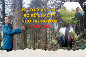 Người đàn ông sở hữu bạc tỷ nhờ “săn” giống Ngọc Am