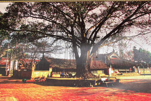 Trùng tu Di tích quốc gia đình Hữu Bằng: Người dân bức xúc vì di sản biến dạng, chính quyền khẳng định làm đúng! Trùng tu Di tích quốc gia đình Hữu Bằng: Người dân bức xúc vì di sản biến dạng, chính quyền khẳng định làm đúng!