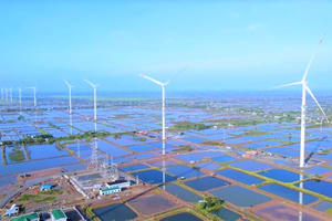 Gia Lai chấp thuận Liên danh Nhà đầu tư 4 dự án điện gần 5.000 tỷ đồng