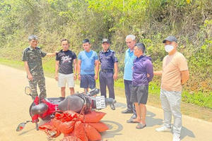 Bắt giữ vụ vận chuyển trái phép 59,2kg vảy nghi của tê tê tại Cao Bằng Bắt giữ vụ vận chuyển trái phép 59,2kg vảy nghi của tê tê tại Cao Bằng