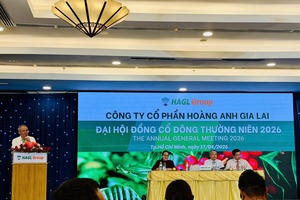 Chủ tịch Hoàng Anh Gia Lai (HAG) : Dứt khoát không phát hành 'giấy', khuyên cổ đông mua cổ phiếu 'lỗ cứ lôi tôi ra chửi'