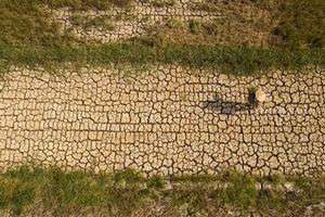 Bản tin tổng hợp 19/04: Cảnh báo nguy cơ thiếu hụt nguồn nước do El Nino từ giữa năm 2026