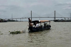 Tìm thấy thi thể hai người rơi xuống sông mất tích tại Cảng du thuyền ở Đồng Tháp