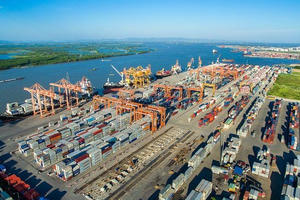 Cảng Đồng Nai (PDN) báo lãi quý I/2026 tăng trưởng hai con số