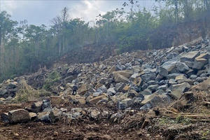 Triệt phá điểm “xẻ thịt” rừng lấy đá trái phép gần 3.400 m² ở Lâm Đồng