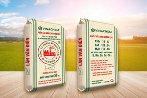 Chậm công bố liên quan báo cáo tài chính quý I/2026, Công ty Phân lân nung chảy Văn Điển (VAF) bị HoSE nhắc nhở
