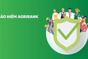 Bảo hiểm Agribank (ABI): Lợi nhuận quý I/2026 tăng 17%, nguồn thu phụ thuộc lớn vào ngân hàng mẹ
