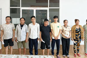 Cần Thơ triệt phá thêm băng nhóm cướp giật ở Tân Huê Viên