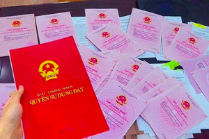Đề xuất sửa Luật Đất đai trong năm 2026 với hai nhóm nội dung Đề xuất sửa Luật Đất đai trong năm 2026 với hai nhóm nội dung