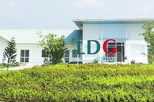 Đầu tư LDG (LDG) quý I/2026: Doanh thu âm, tiền mặt 'bốc hơi' gần như toàn bộ