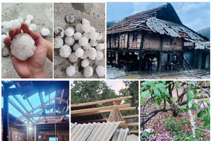 Mưa đá, dông lốc khiến 5 người bị thương, nhiều địa phương thiệt hại nặng nề về tài sản Mưa đá, dông lốc khiến 5 người bị thương, nhiều địa phương thiệt hại nặng nề về tài sản
