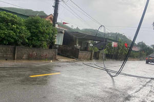 Mưa đá, giông lốc gây thiệt hại nhà cửa, hoa màu tại Nghệ An