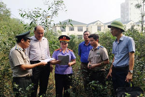 Dấu ấn chấp hành viên Văn Viết Phúc: Nghệ thuật gỡ nút thắt vụ án gần 7 năm bằng cả lý và tình