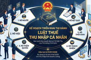 Ban hành Kế hoạch triển khai thi hành Luật Thuế thu nhập cá nhân Ban hành Kế hoạch triển khai thi hành Luật Thuế thu nhập cá nhân