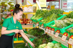 Bách hóa Xanh đặt chân đến Hà Nội, doanh thu quý 1 vượt mốc 13.100 tỷ đồng