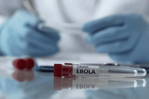 Sau cảnh báo của WHO, Bộ Y tế khuyến cáo người dân chủ động phòng bệnh Ebola