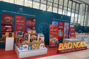 Cổ phiếu Đầu tư Bảo Ngọc (BNA) bị kiểm soát do chậm nộp báo cáo tài chính, nợ vay vượt 730 tỷ đồng