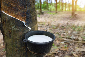 Bức tranh lợi nhuận ngành cao su phân hóa: Thượng nguồn bội thu, hạ nguồn săm lốp đối diện áp lực chi phí