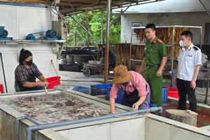 Kiểm tra hộ kinh doanh, phát hiện hơn 3 tấn nội tạng lợn không rõ nguồn gốc chuẩn bị tung ra thị trường