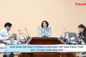 Bản tin Y tế số 6: WHO đánh giá nguy cơ Ebola xâm nhập Việt Nam, Bộ Y tế họp khẩn ứng phó