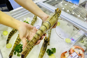 Xuất khẩu tôm 4 tháng đầu năm 2026: Nhu cầu từ châu Á ổn định, áp lực từ thị trường Mỹ gia tăng