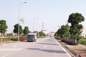 Bắc Ninh dừng thực hiện dự án khu nhà ở đấu giá đất tại xã Kim Chân 