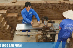 Cổ phiếu DAC chưa thoát hạn chế giao dịch do vốn chủ sở hữu âm, lỗ lũy kế hơn 26 tỷ đồng