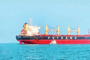 PVTrans (PVT) dự phát hành gần 47 triệu cổ phiếu trả cổ tức