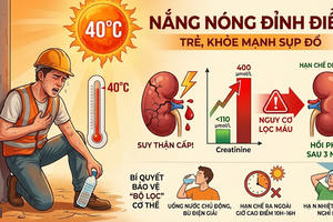 Nắng nóng gay gắt, cảnh báo nguy cơ suy thận do mất nước Nắng nóng gay gắt, cảnh báo nguy cơ suy thận do mất nước