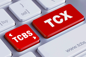 Chứng khoán Kỹ Thương (TCBS) thoái sạch vốn khỏi TokenBay sau khi 'rót' 165 tỷ đồng