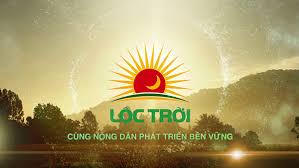 Cổ phiếu của Công ty Lộc Trời (LTG) được đưa ra khỏi diện cảnh báo kể từ ngày 1/6