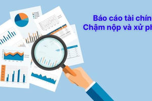 Hoàng Ngân Sơn, Cơ điện Dzĩ An và VNECO2 đồng loạt bị xử phạt do chậm nộp báo cáo tài chính