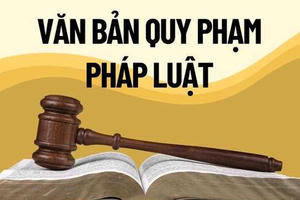 Phó Thủ tướng yêu cầu tổng hợp vướng mắc chính sách trước ngày 5/6