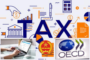 Chính phủ ban hành kế hoạch hành động về trao đổi thông tin theo yêu cầu vì mục đích thuế Chính phủ ban hành kế hoạch hành động về trao đổi thông tin theo yêu cầu vì mục đích thuế