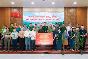 Mcredit trao tặng 105.000 cây giống, hỗ trợ sinh kế cho người dân Nà Hỳ (Điện Biên)