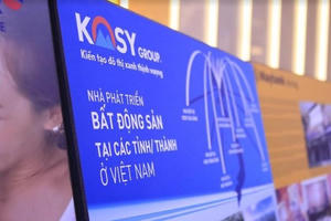 Lãi ròng quý đầu năm vỏn vẹn 3 tỷ đồng, Kosy (KOS) vẫn đề ra mục tiêu lợi nhuận tăng 531%